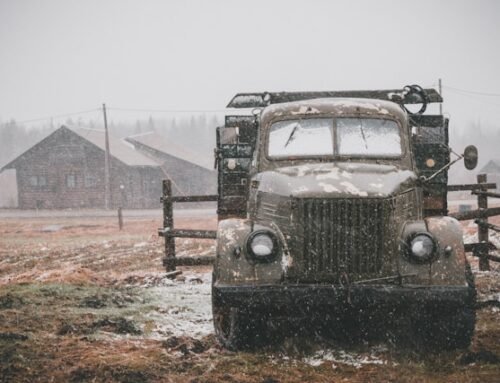 The Numbers Tell a Story: Four Nations, Four Destinies