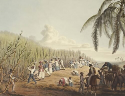 Indian Indentured Labour in the Global South: A Research Overview